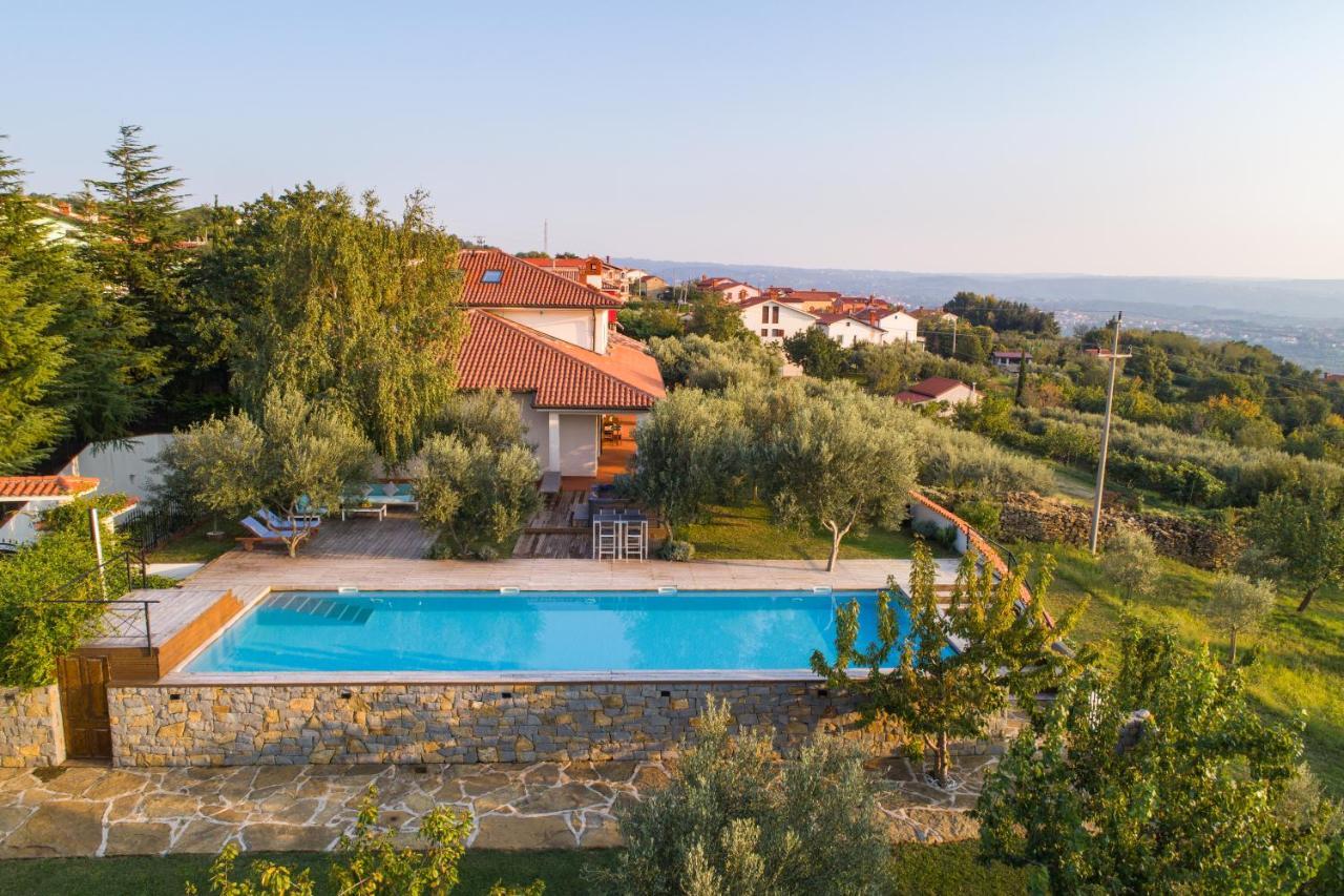 Villa Emi Zgornje Skofije Exterior photo